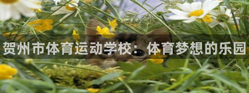 米兰体育官方正版app神州:贺州市体育运动学校:体育梦想的乐