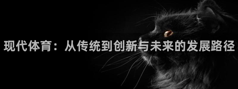 米兰体育官方正版app官网:现代体育:从传统到创新与未来的发